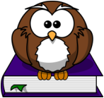 Owl on a book